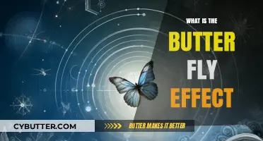 Unraveling the Butterfly Effect: Small Changes, Big Consequences