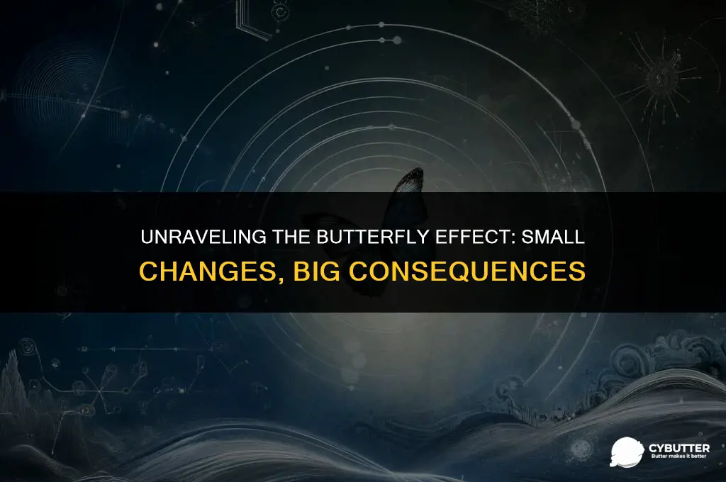 what is the butter fly effect
