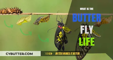 The Delicate Dance of Life: A Journey Through the Butterfly's Metamorphosis
