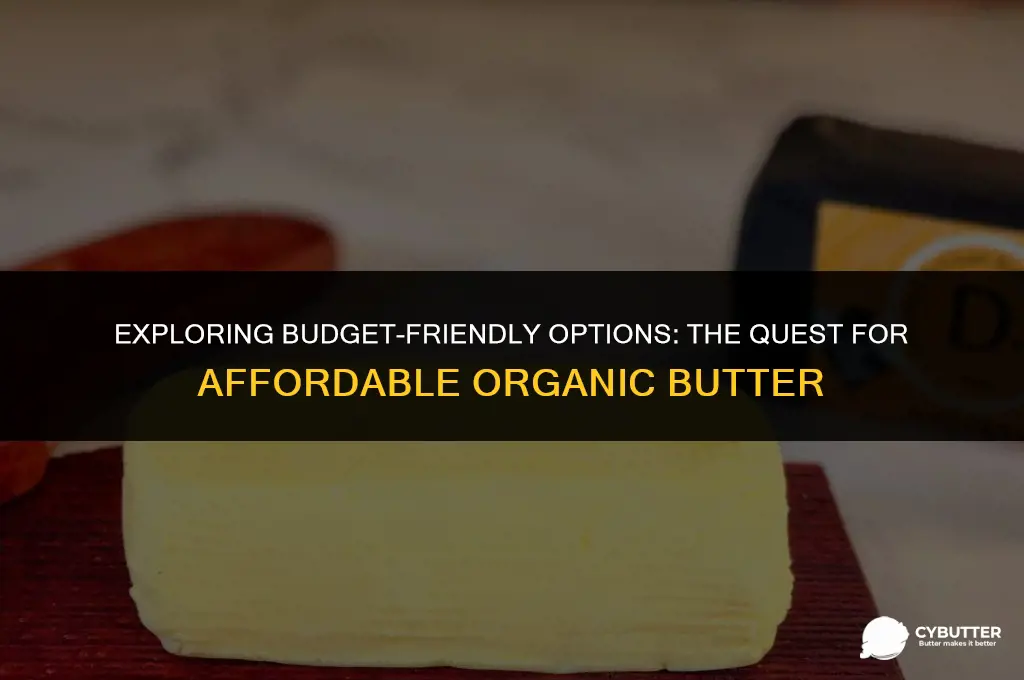 what is the cheapest butter organic