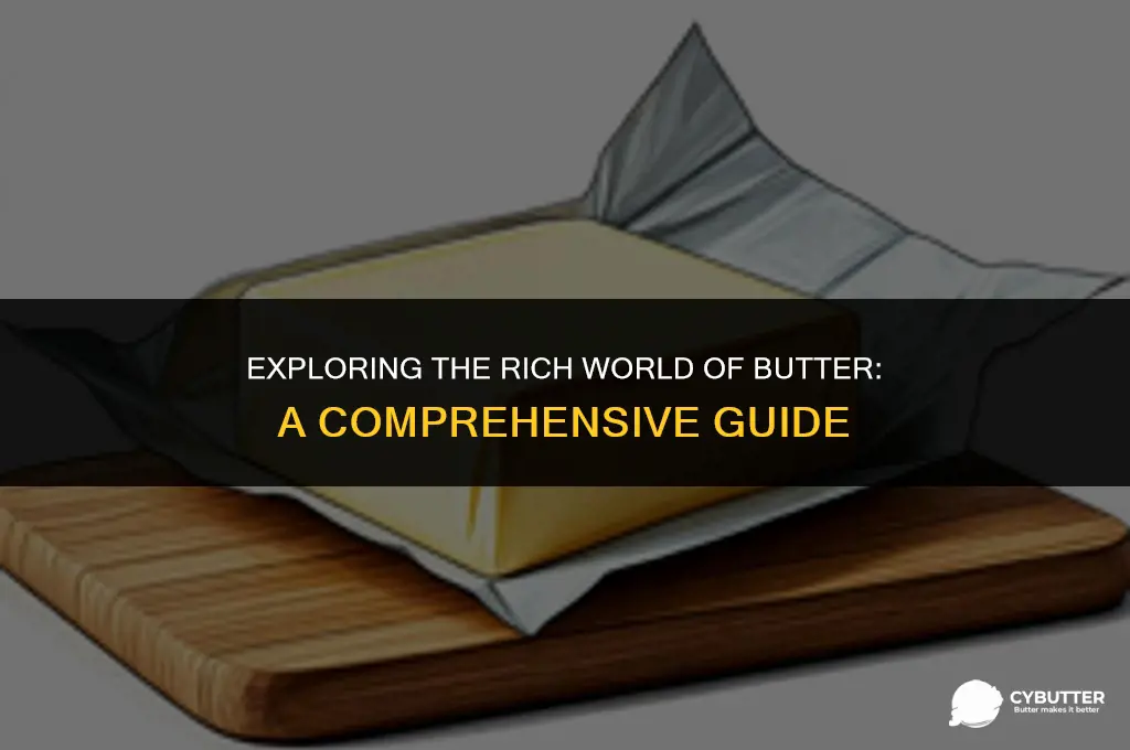 what is the definition of butter