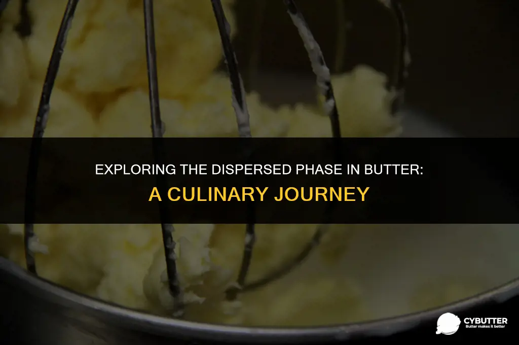 what is the dispersed phasein butter