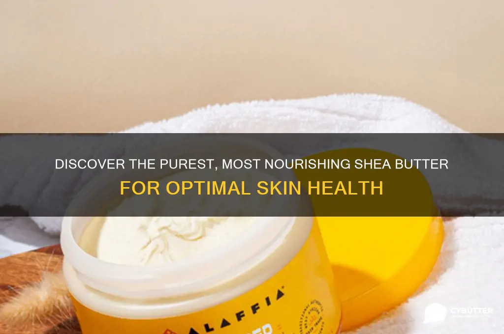 what is the healthiest shea butter yo get
