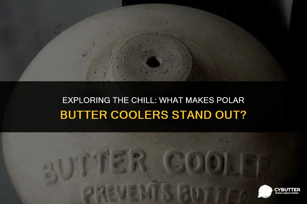 what is the polar butter cooler