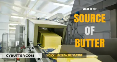 Unveiling the Rich Origins: A Journey into the World of Butter