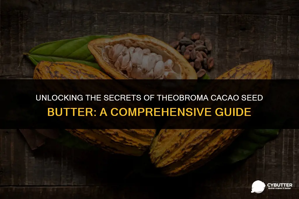 what is theobroma cacao seed butter