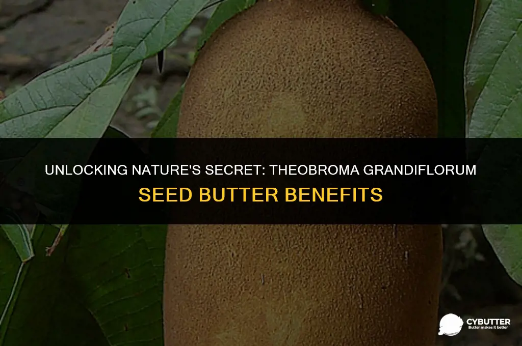 what is theobroma grandiflorum seed butter