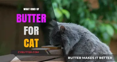 Purr-fectly Safe: Choosing the Right Butter for Your Feline Friend