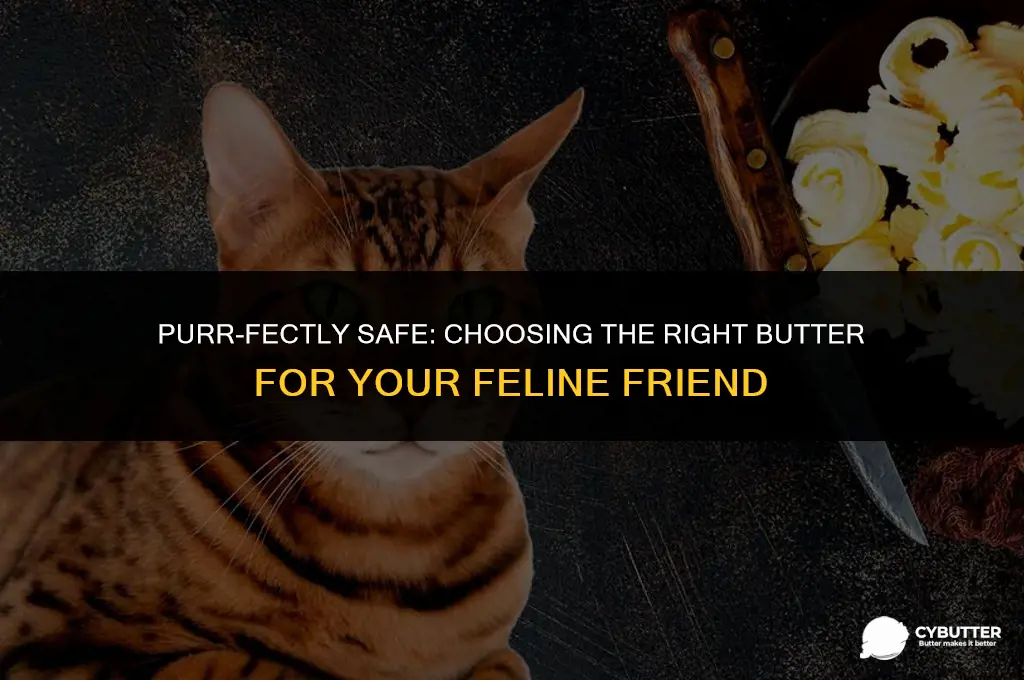 what kind of butter for cat