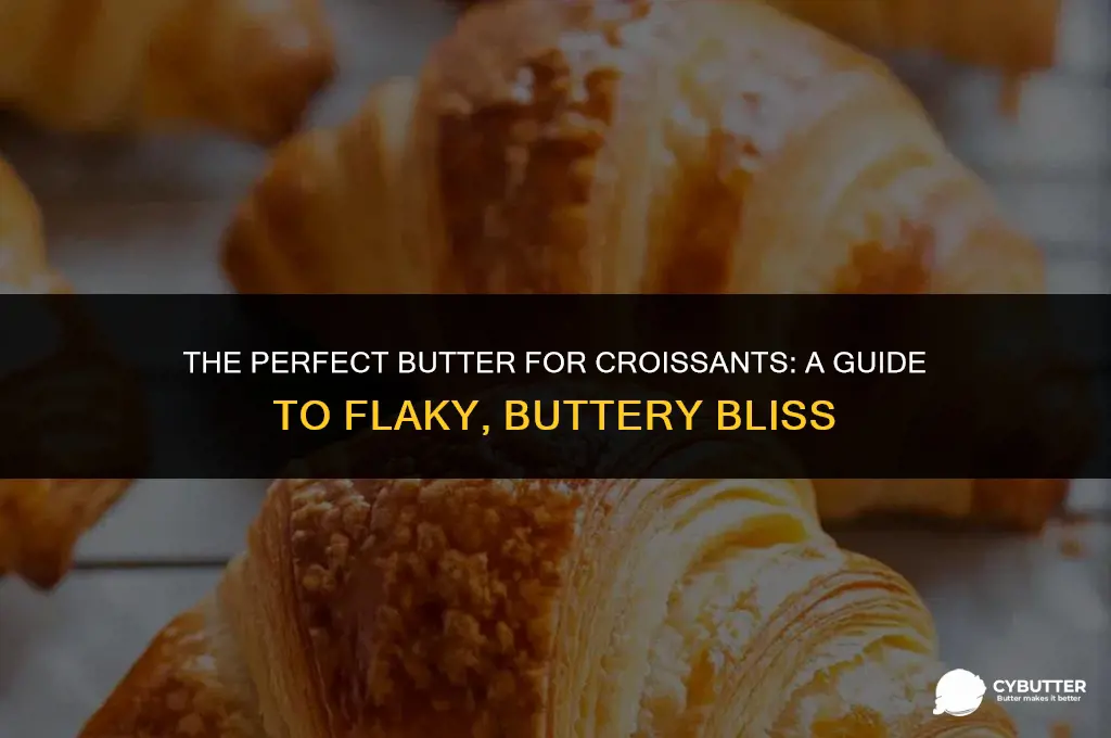what kind of butter for croissant