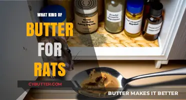 The Ultimate Guide to Choosing the Best Butter for Rats
