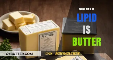 Unraveling the Mystery: What Kind of Lipid is Butter?