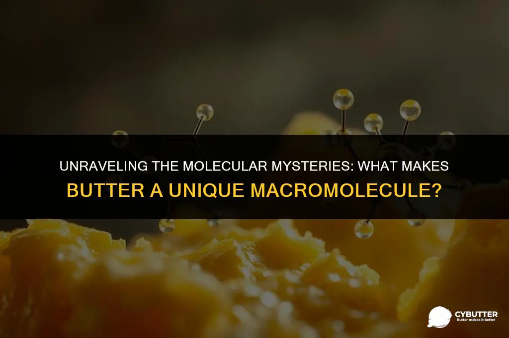 what kind of macromolecule is butter