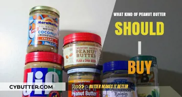 Choosing the Perfect Peanut Butter: A Comprehensive Guide