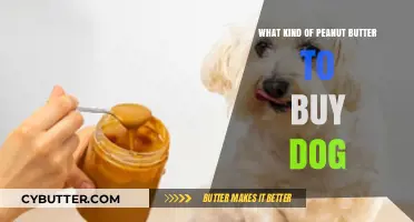 Choosing the Perfect Peanut Butter for Your Furry Friend