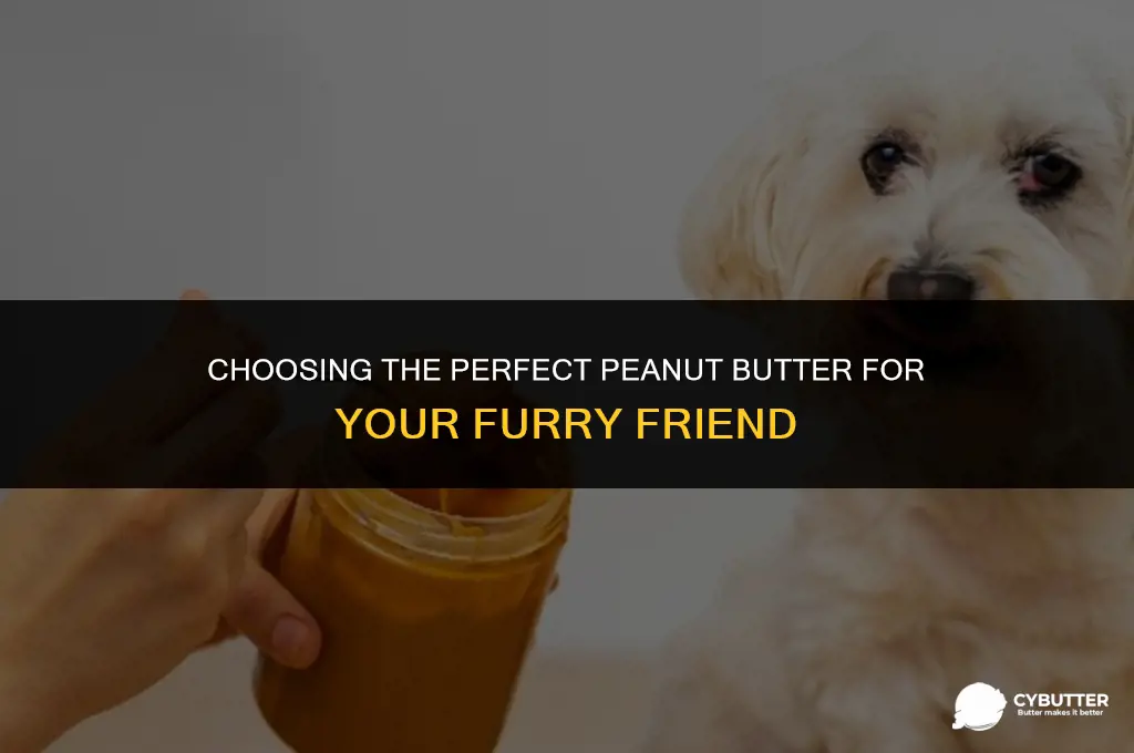 what kind of peanut butter to buy dog