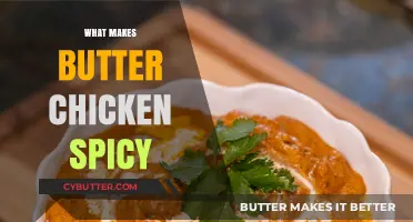 Exploring the Fiery Flavors: What Makes Butter Chicken Spicy?