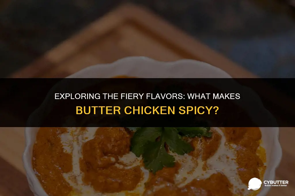 what makes butter chicken spicy