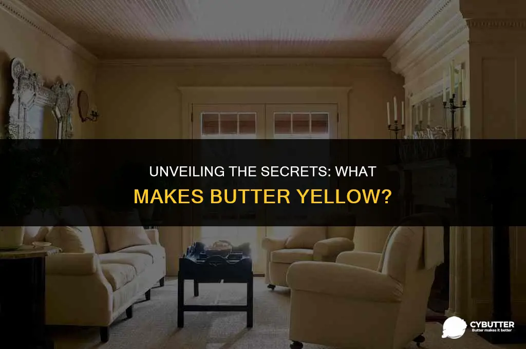 what makes butter yellow