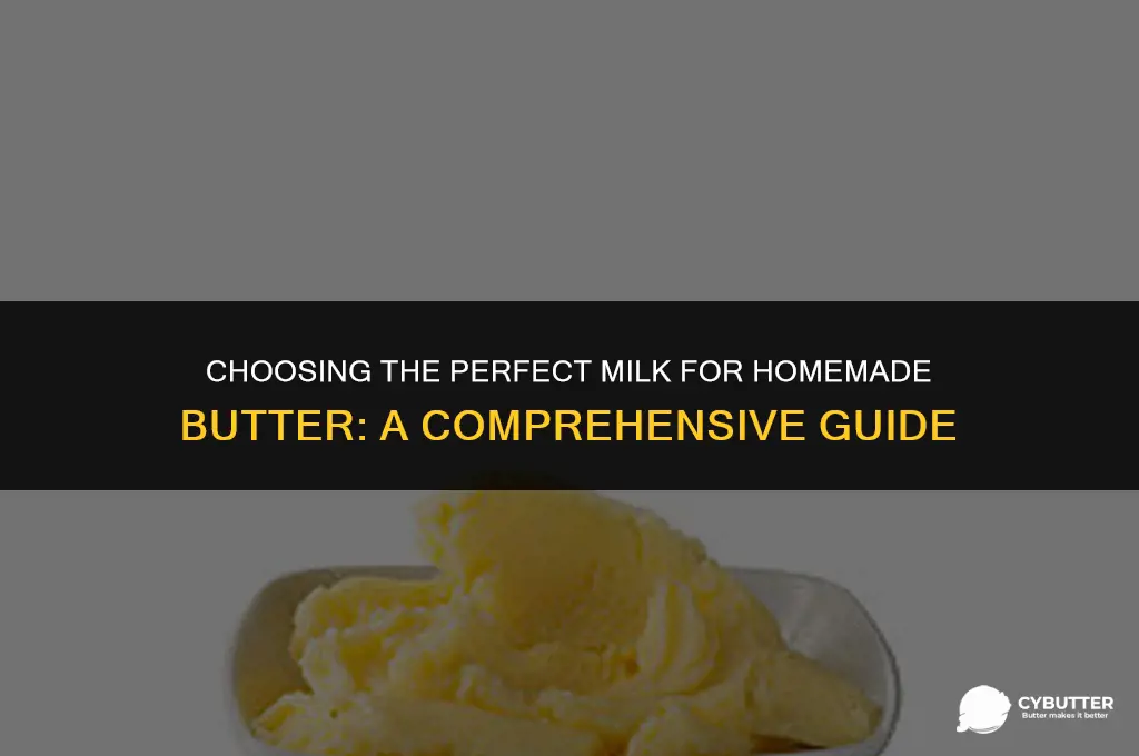 what milk to buy to make butter