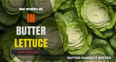 Unlocking the Nutritional Secrets of Butter Lettuce: A Comprehensive Guide