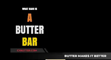 Decoding Military Slang: What's the Scoop on 'Butter Bar' Rank?