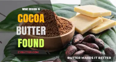 Exploring the Rich Origins of Cocoa Butter: A Regional Journey