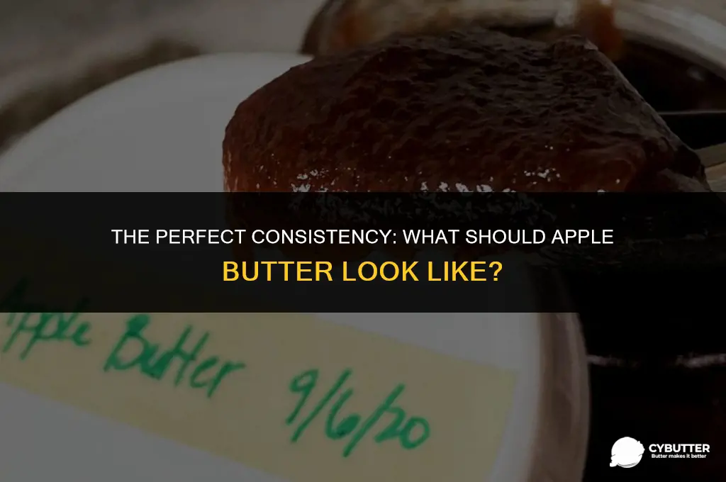 what should apple butter look like