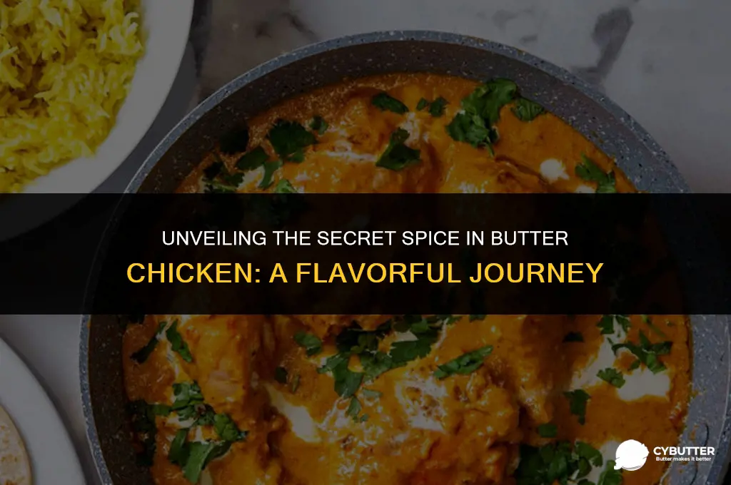 what spice is in butter chicken