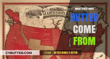 From Cream to Solid Gold: The Journey of Butter Across States