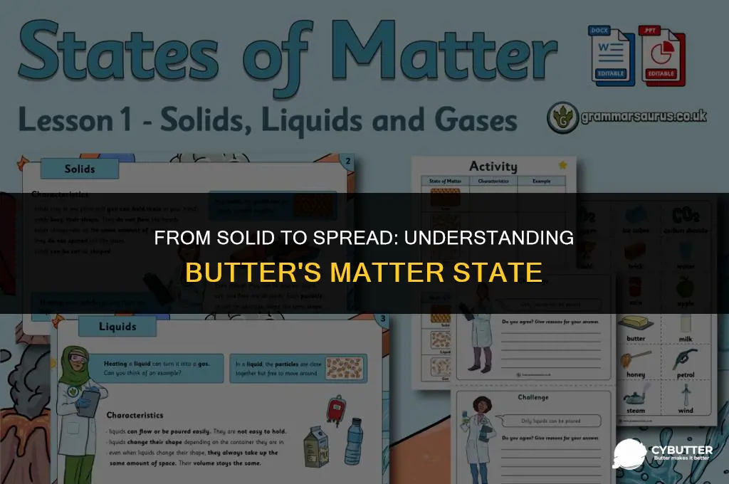 what state of matter is butter
