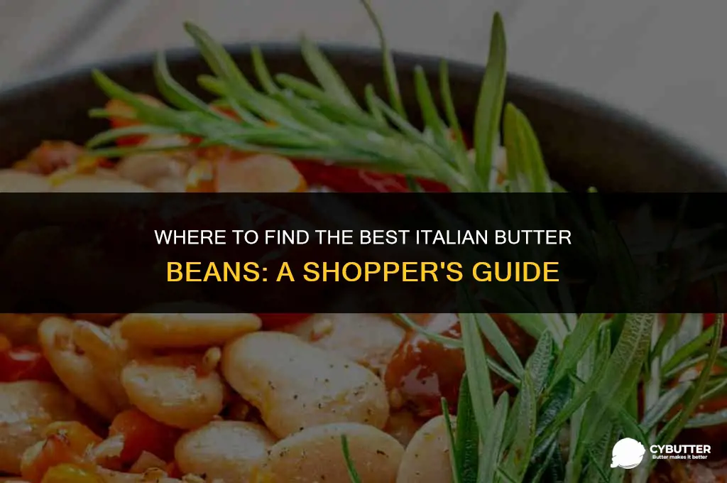 what store to buy italian butter beans