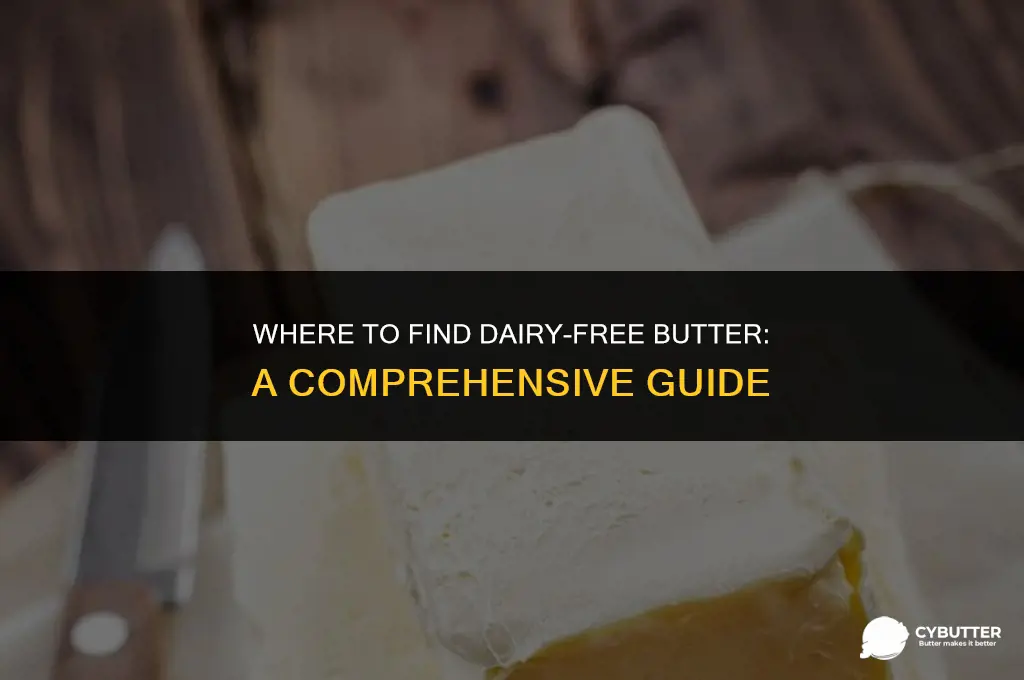 what stores carry dairy free butter