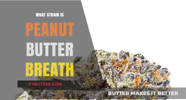 Exploring the Origins: What Strain is Peanut Butter Breath?
