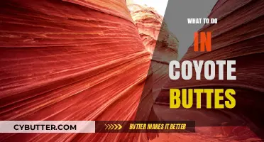Exploring Coyote Buttes: A Guide to Unforgettable Adventures