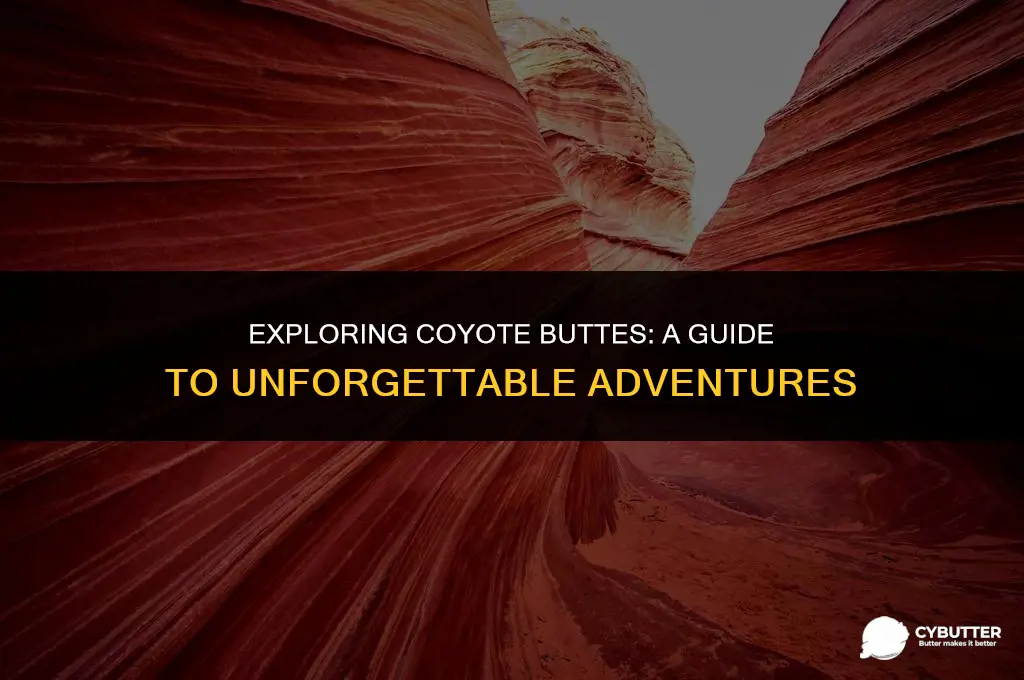 what to do in coyote buttes