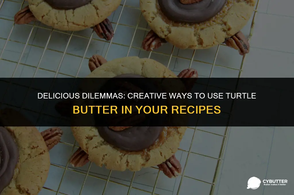 what to do with turtle butter