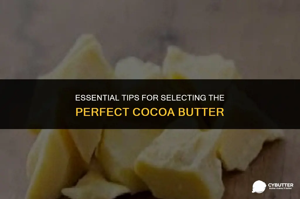 what to look for when buying cocoa butter