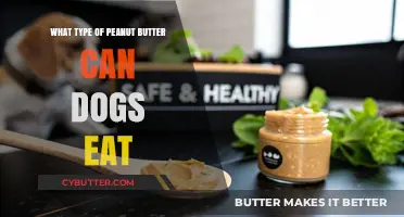 Can Dogs Eat Peanut Butter? A Guide to Safe and Nutritious Options