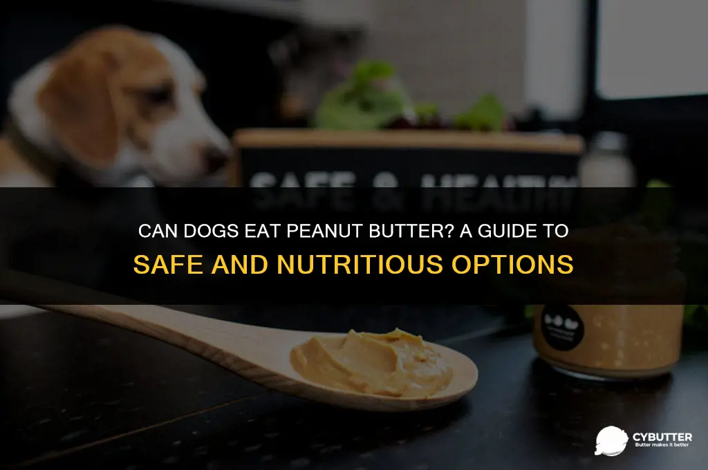 what type of peanut butter can dogs eat
