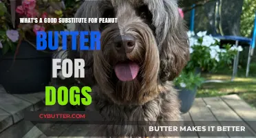 Healthy Alternatives: Best Peanut Butter Substitutes for Dogs