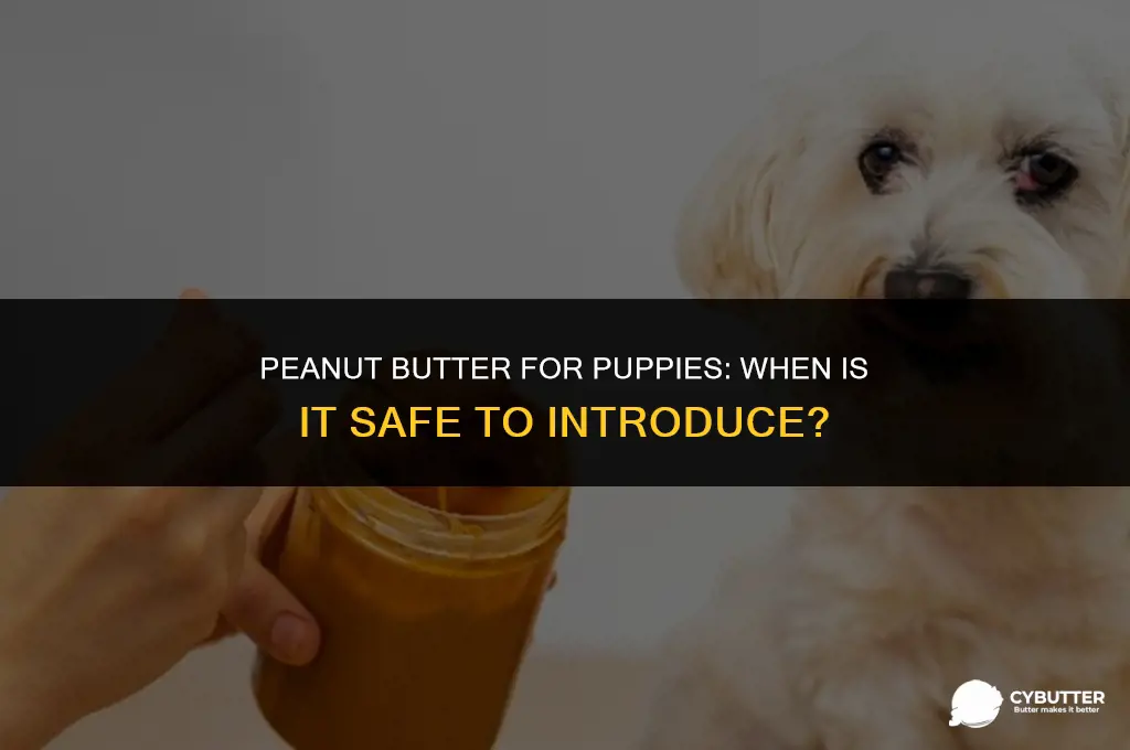 when can a puppy have peanut butter