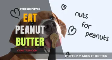 Peanut Butter for Puppies: When Is It Safe to Introduce?