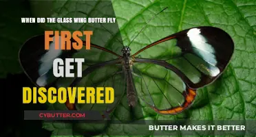 Discovery of the Glass Wing Butterfly: A Historical Perspective