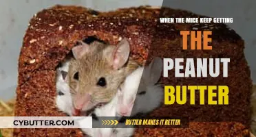 Outsmarting Persistent Mice: Strategies to Protect Your Peanut Butter