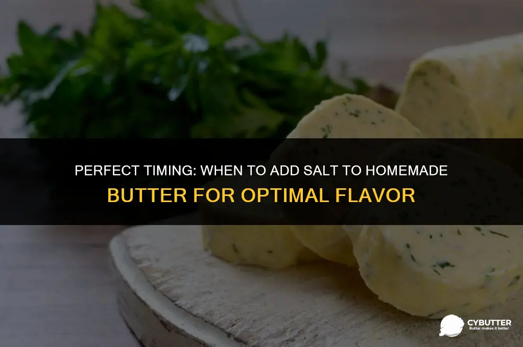 when to add salt to homemade butter