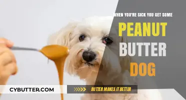 Peanut Butter Dog: A Quirky Comfort When You're Under the Weather