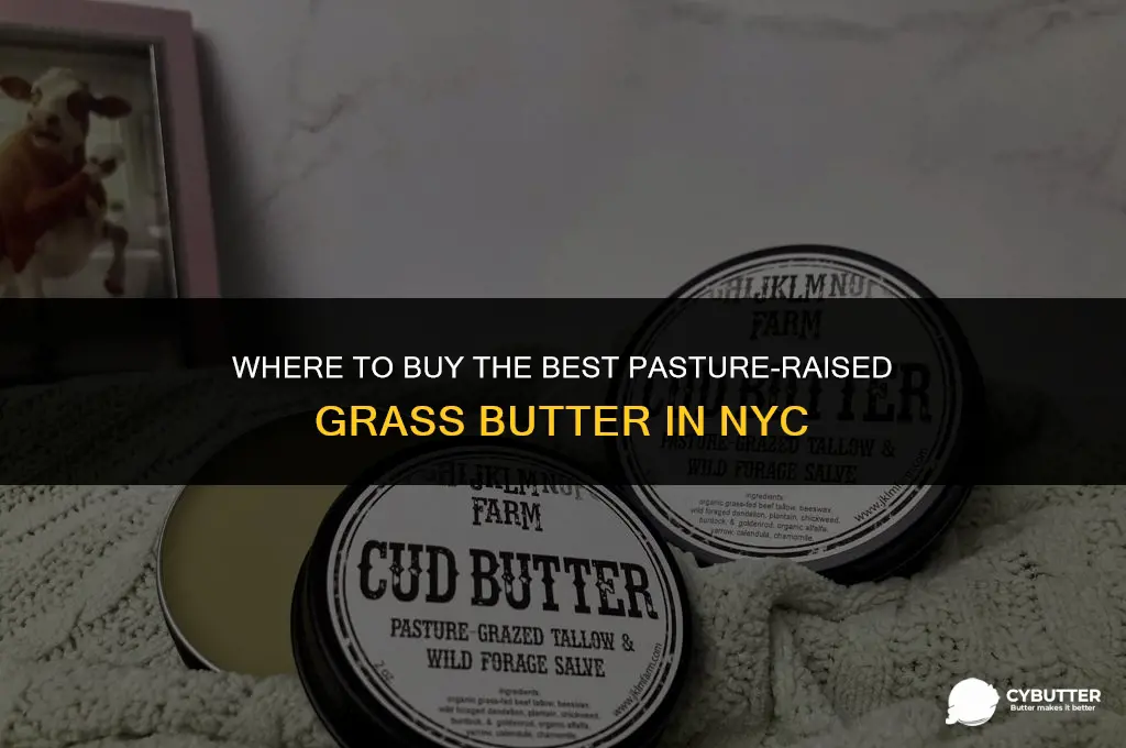 where buy pasture grass butter nyc