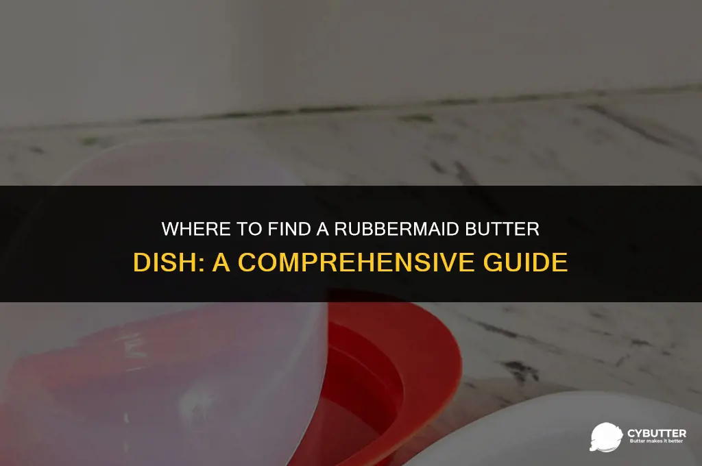 where can i buy a rubbermaid butter dish