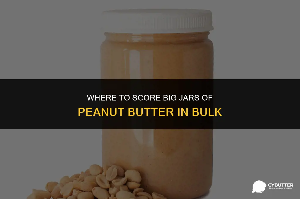 where can i buy bulk peanut butter